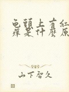 龟头上有红点点痒是什么原因封面