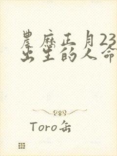 农历正月23日出生的人命运