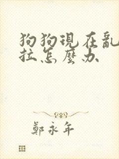 狗狗现在乱尿乱拉怎么办封面