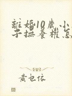 离婚10岁小孩子抚养权怎么判定封面