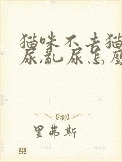 猫咪不去猫砂盆尿,乱尿怎么回事