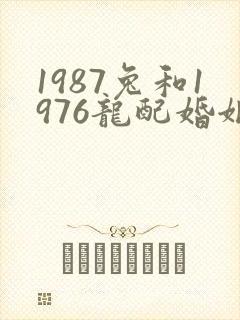 1987兔和1976龙配婚姻好不好