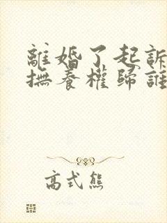 离婚了起诉孩子抚养权归谁