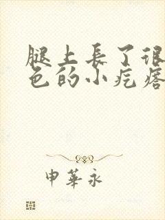 腿上长了很多白色的小疙瘩