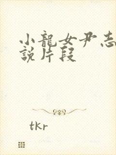 小龙女尹志平小说片段封面