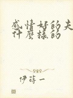 感情好的夫妻是什么样的