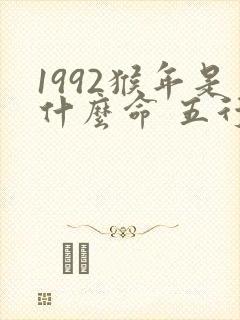 1992猴年是什么命 五行