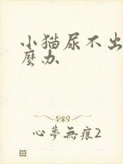 小猫尿不出尿怎么办