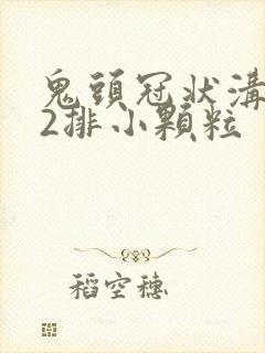 鬼头冠状沟长了2排小颗粒