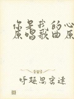 你是我的心上人原唱歌曲原唱歌曲封面