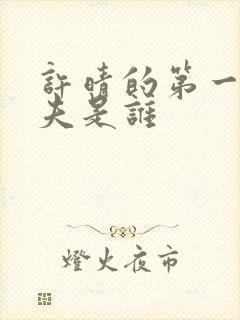 许晴的第一任丈夫是谁