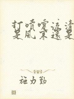 打喷嚏流清鼻涕是风寒还是风热