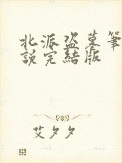 北派盗墓笔记小说完结版