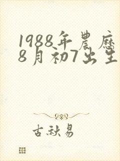 1988年农历8月初7出生的命运封面
