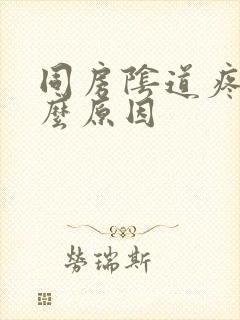 同房阴道疼是什么原因封面