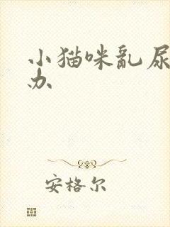 小猫咪乱尿怎么办