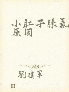 小肚子胀气什么原因