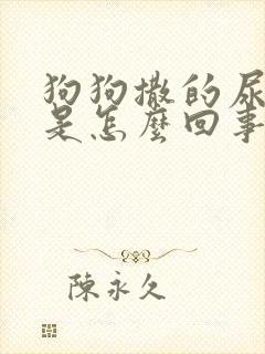 狗狗撒的尿很黄是怎么回事封面