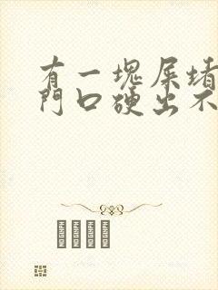 有一块屎堵在肛门口硬出不来封面