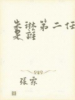 朱琳第二任丈夫是谁封面