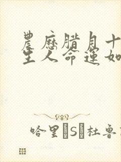 农历腊月十二出生人命运如何封面