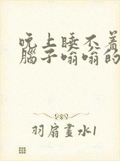 晚上睡不着耳鸣脑子嗡嗡的 头晕