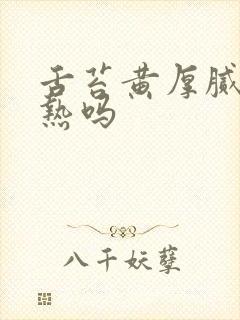 舌苔黄厚腻是湿热吗