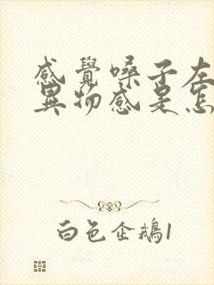 感觉嗓子左侧有异物感是怎么回事