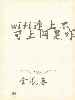 wifi连上不可上网是咋回事