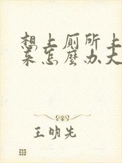 想上厕所上不出来怎么办大便