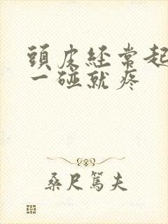 头皮经常起疙瘩一碰就疼