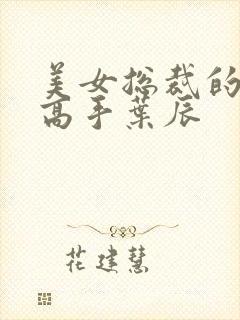 美女总裁的贴身高手叶辰