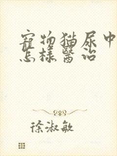 宠物猫尿中带血怎样医治