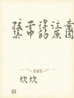 孩子得注意力不集中的原因是什么封面