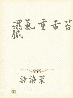 湿气重舌苔白厚腻