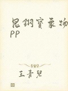 昆钢宝象物流app封面