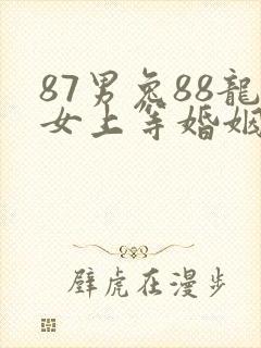 87男兔88龙女上等婚姻