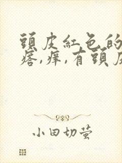 头皮红色的小疙瘩,痒,有头皮屑