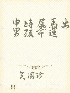 申时属马出生的男孩命运