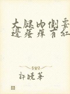 大腿内侧睾丸旁边瘙痒有红点点