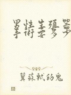 男性生殖器延长手术要多少钱