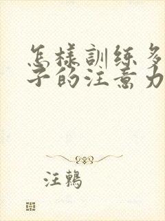 怎样训练多动孩子的注意力封面