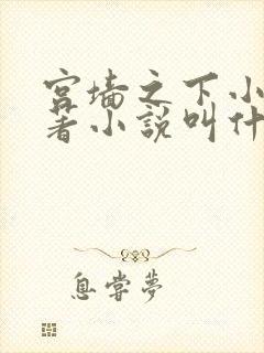宫墙之下小说原著小说叫什么名字封面