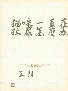 猫咪一直在床上拉尿怎么办