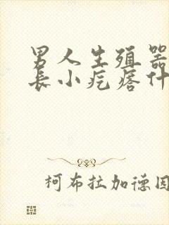 男人生殖器上面长小疙瘩什么原因