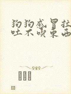 狗狗感冒拉稀呕吐不吃东西怎么办