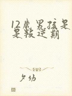 12岁男孩是不是叛逆期