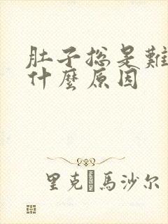 肚子总是难受是什么原因