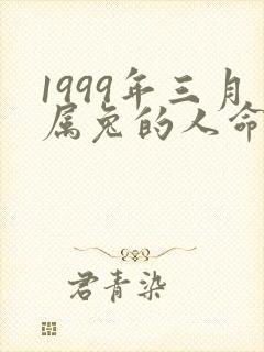 1999年三月属兔的人命运如何