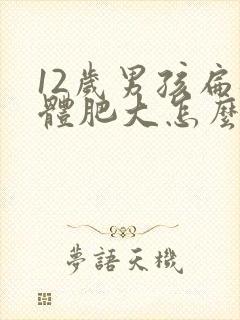 12岁男孩扁桃体肥大怎么办